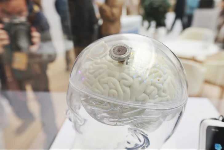 Китай одобрил использование мозгового чипа для лечения паралича — впервые в мире