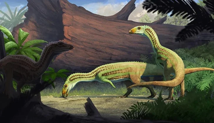 Крокодил на двух ногах? Палеонтологи представили древнего родственника с необычной походкой