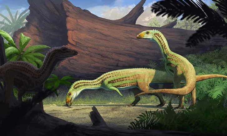 Крокодил на двух ногах? Палеонтологи представили древнего родственника с необычной походкой