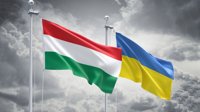 Один из венгерских делегатов отказался ехать на Украину, опасаясь мобилизации