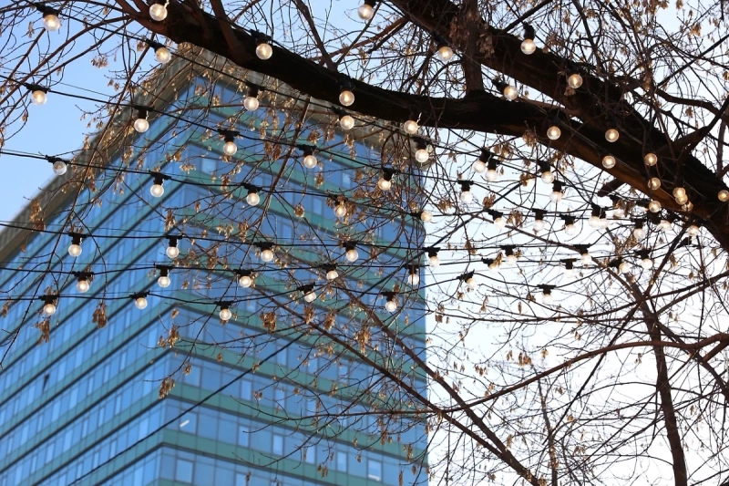 Россиянам рассказали, какой день будет самым тёплым на этой неделе в Москве